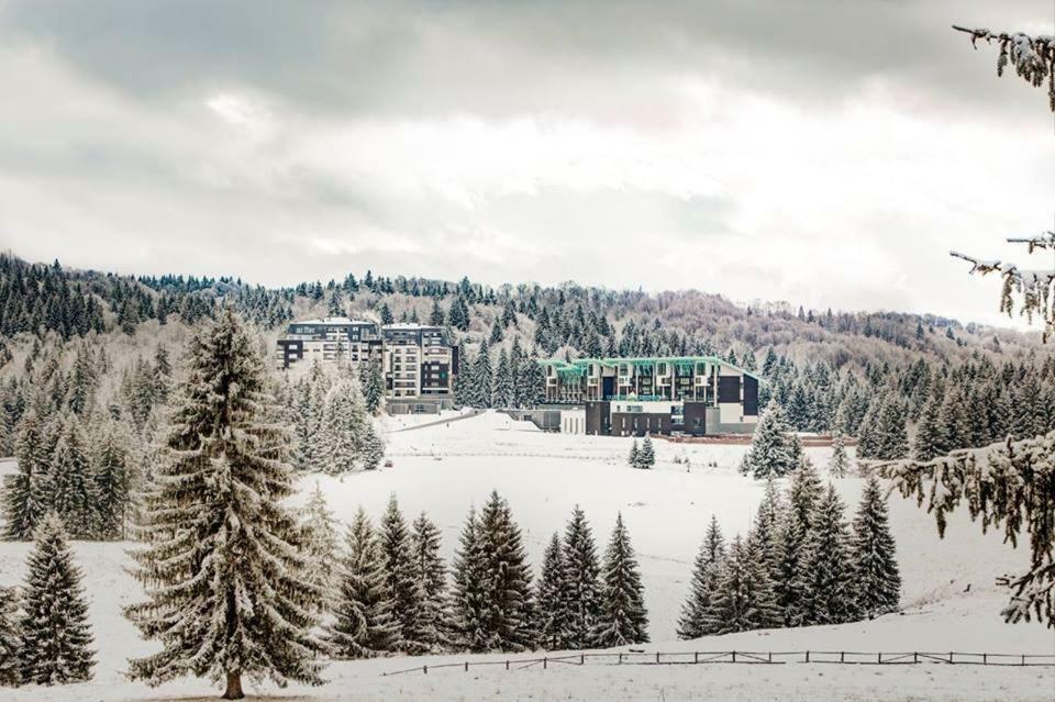 Silver Mountain G1 21 R Poiana Brasov Exterior foto